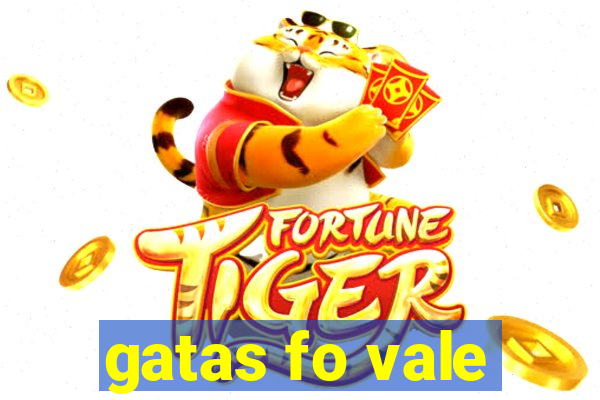 gatas fo vale